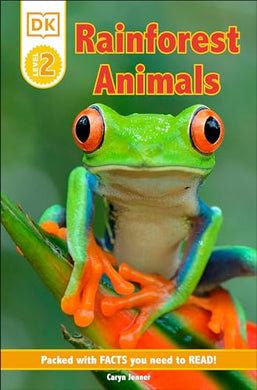 Rainforest Animals