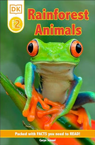 Rainforest Animals
