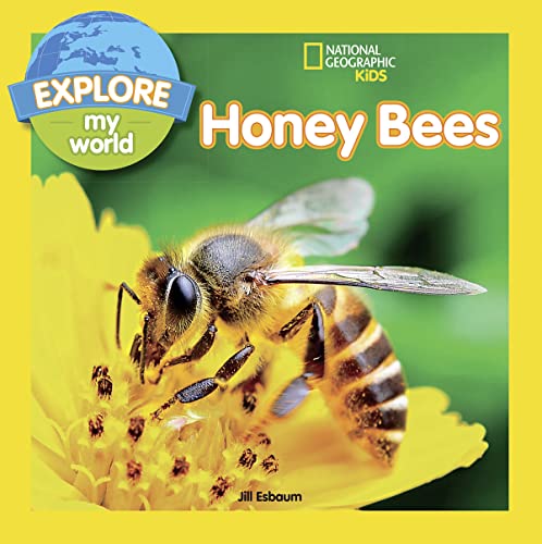 Nat Geo Honey Bees