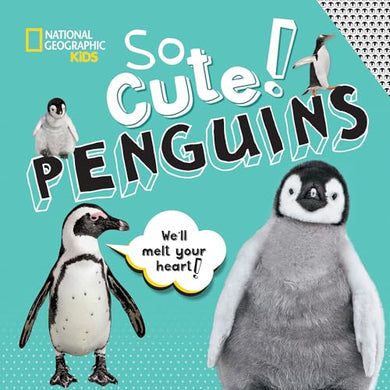 So Sute Penguins