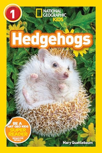Nat Geo Hedgehogs
