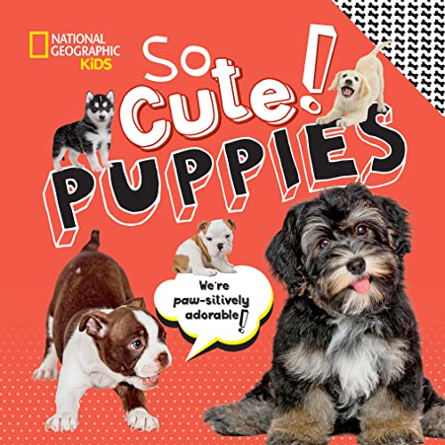 So Cute Puppies