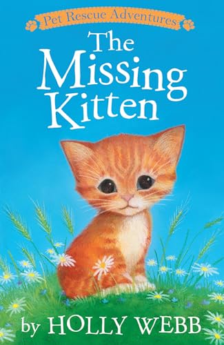 Pet Rescue Missing Kitten