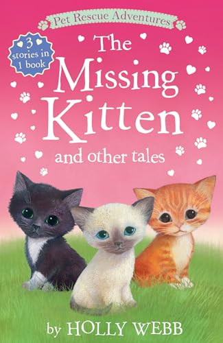 Pet Rescue 3 in 1: Missing Kitten