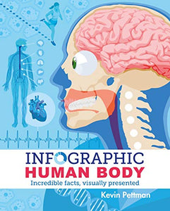 Human Body Infographics